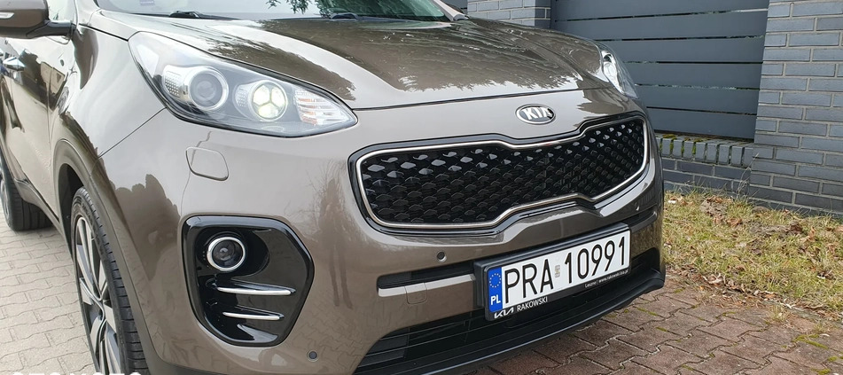 Kia Sportage cena 69900 przebieg: 115700, rok produkcji 2016 z Leszno małe 379